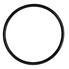 Non Return Valve O Ring