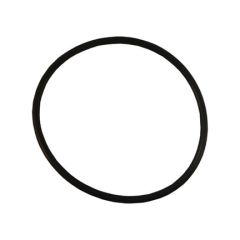 Image of Endurance Pump Lid O-Ring