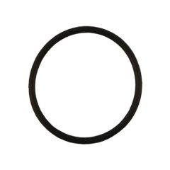 Image of Endurance Pump Diffuser O-Ring