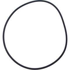 Image of Endurance Lid O-Ring