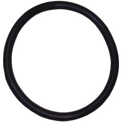 Image of Endurance O-Ring for 2