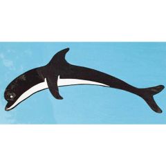 Dolphin Motif