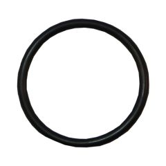Image of Sta-Rite Diffuser O-Ring for 5P6R and 5MPR