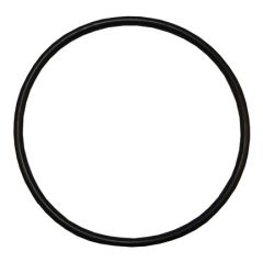 Sta-Rite Lid O-Ring for 5P4R and 5MPR