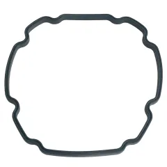 Image of IFlo Pump Volute Gasket