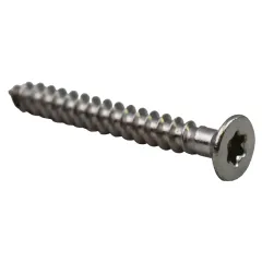 IQUE 304SS Torx Cover Strip Screws (40MM)